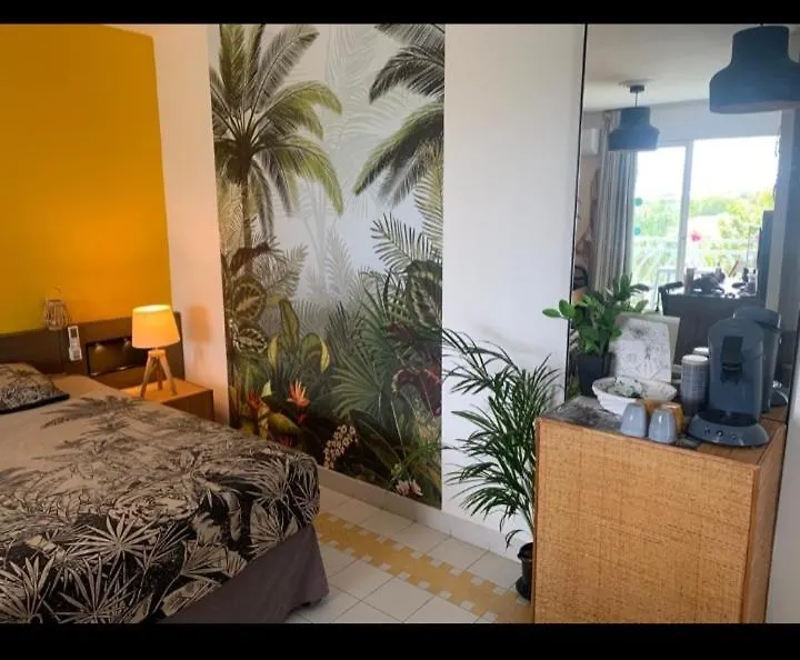 Studio Cap Caraibes, Piscine, Acces Plage, Nouvelle Wifi Haut Debit Apartment Saint-Francois  Guadeloupe