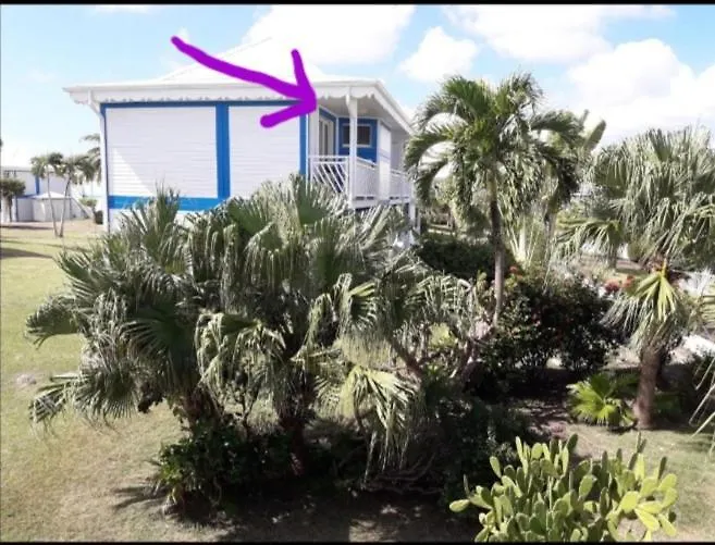 Studio Cap Caraibes, Piscine, Acces Plage, Nouvelle Wifi Haut Debit Apartment Saint-Francois  Saint-Francois (Grande-Terre)